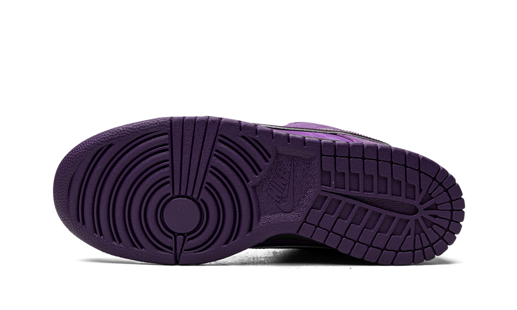 Nike SB Dunk Low Pro OG QS "Concepts - Purple Lobster Special Box" BV1310 555a