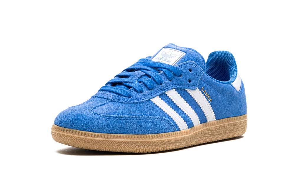 Adidas Adidas Samba Adv "Blue Bird" JP5719
