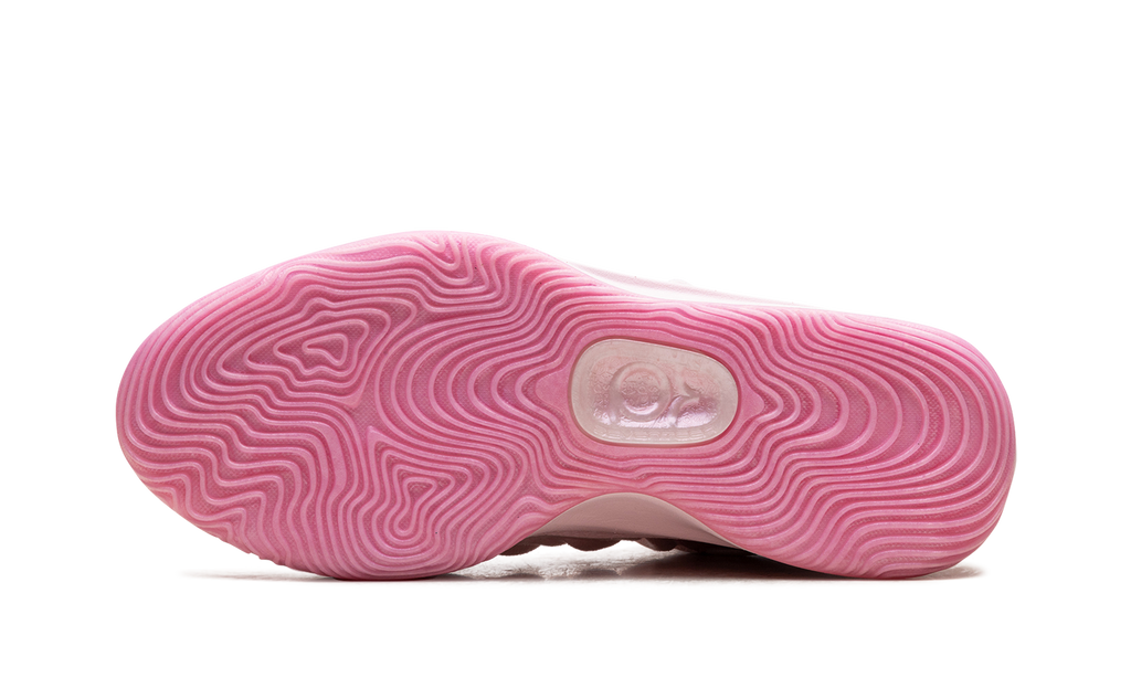 Nike KD 17 "Aunt Pearl" FZ1518 600