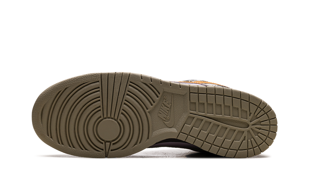 Nike Dunk Low Retro LTD "Punk Rock Digital Camo" IB2260 500
