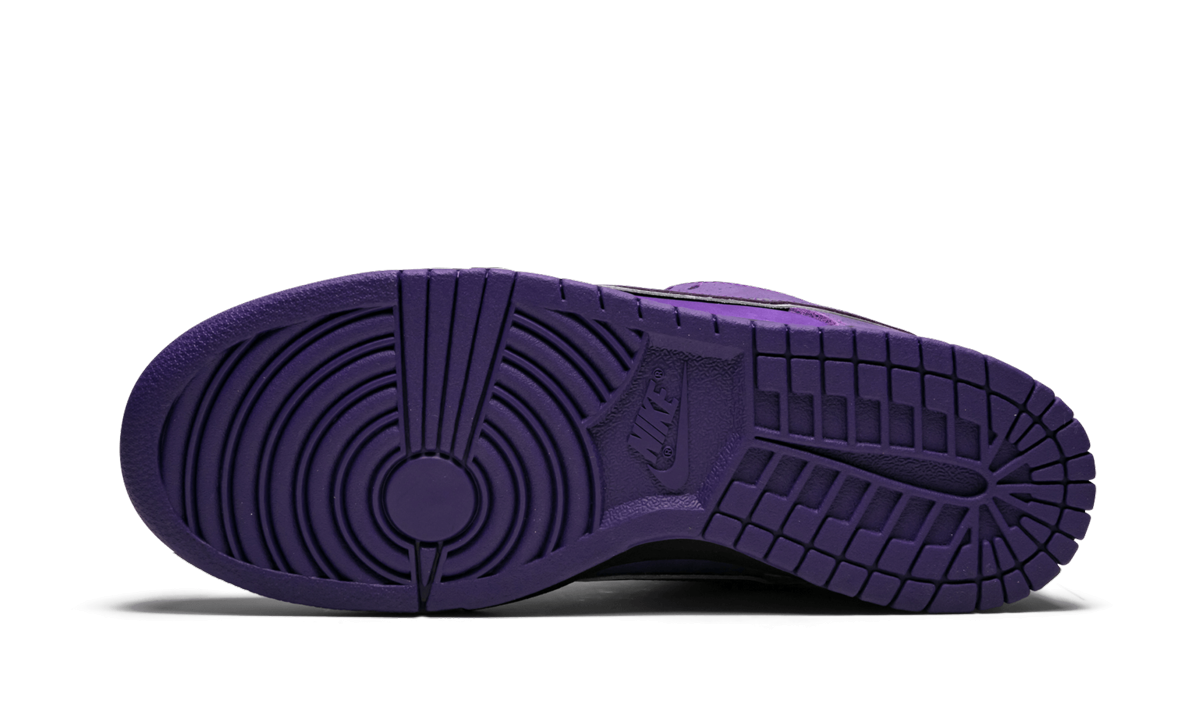 Nike SB Dunk Low Pro OG QS "Concepts - Purple Lobster Special Box" BV1310 555a