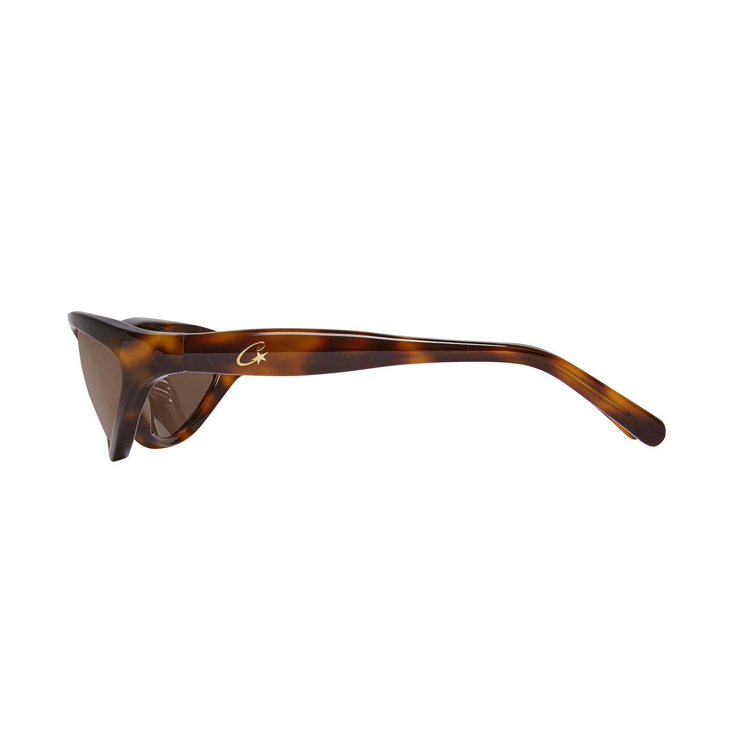 SPORTEIZ SUNGLASSES [TORTOISE] CRTZRTW
