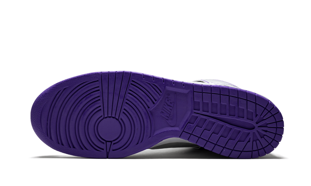 Nike SB Dunk High Premium "Dinosaur Jr"
