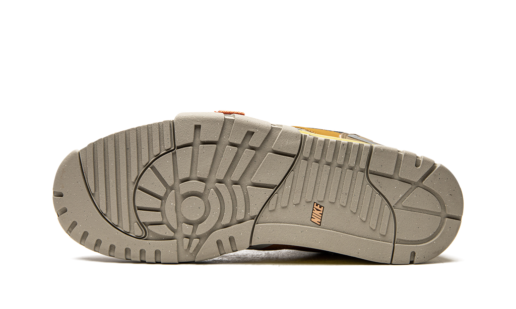 Nike Air Trainer 1 SP "Coriander" DH7338 300