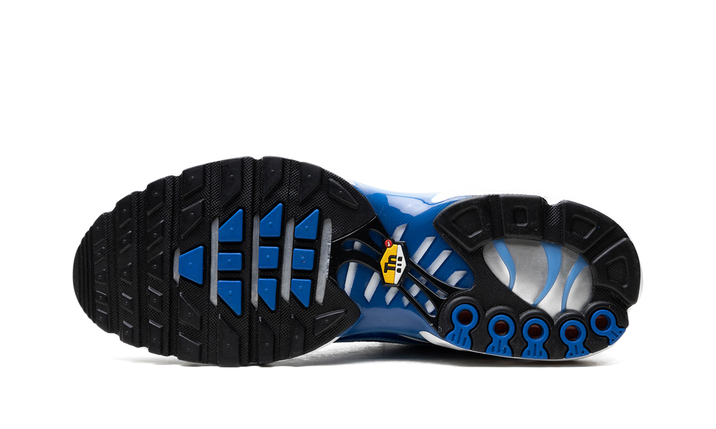 Nike Air Max Plus "Light Streaks" DZ3531 400