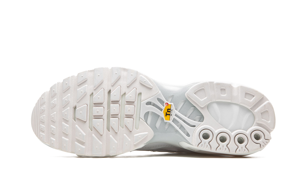 Nike AIR MAX PLUS WMNS "Pure Platinum" DM2362 100