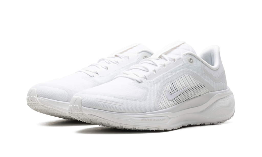 Nike Air Zoom Pegasus 41 "Gore-Tex" FQ1356 101