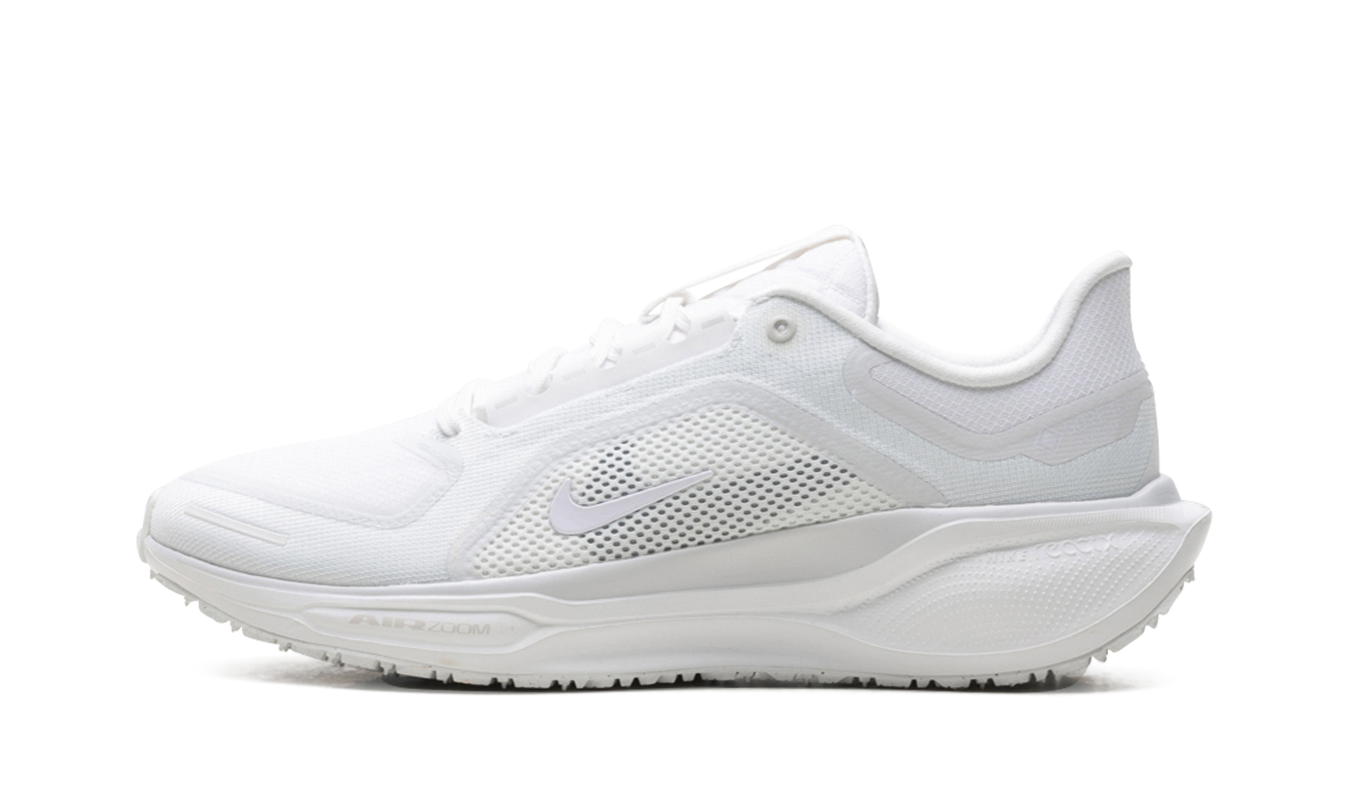 Nike Air Zoom Pegasus 41 "Gore-Tex" FQ1356 101